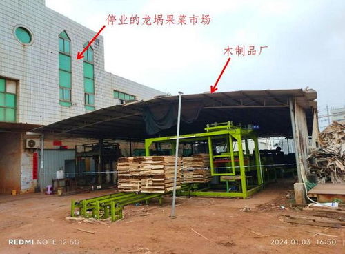工人卷入齿辊遭辗压身亡,雷州市英利镇汇利木制品厂1 2事故查明